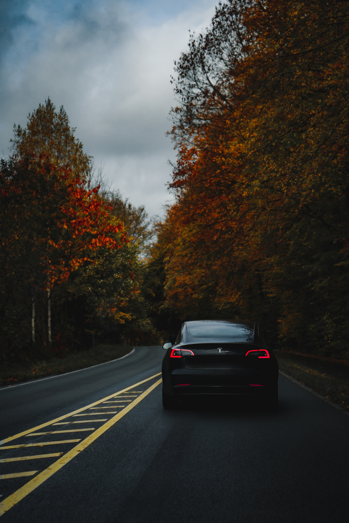 Fall car