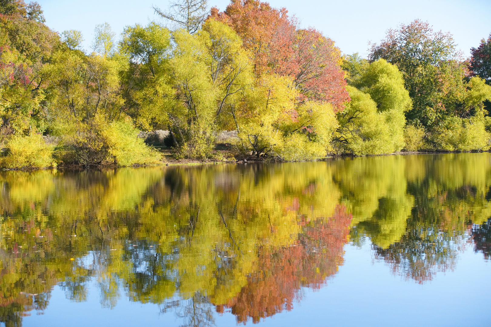 Fall Colors