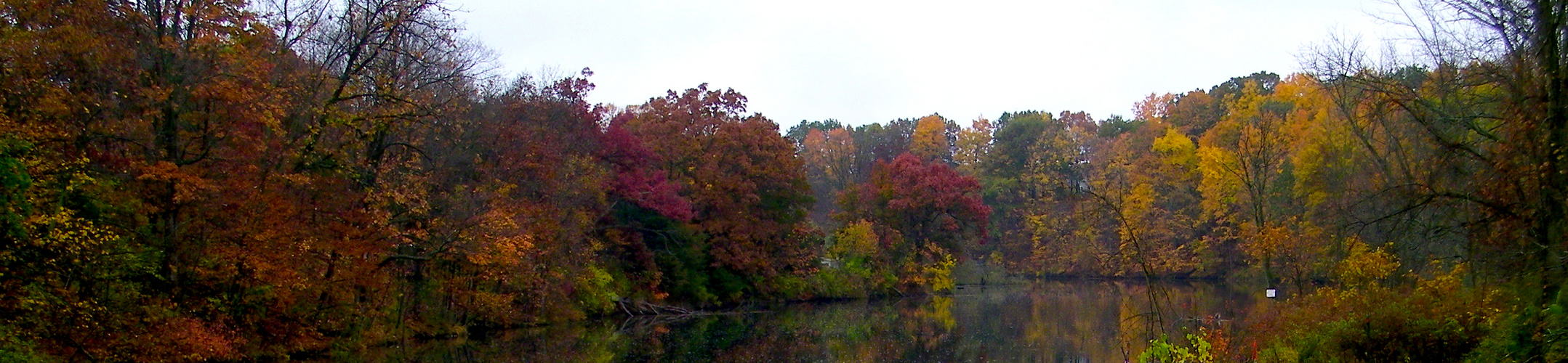 Fall colors 2