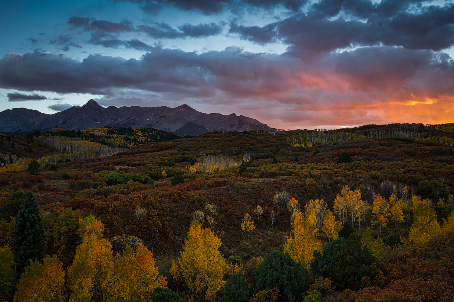 Fall Colors