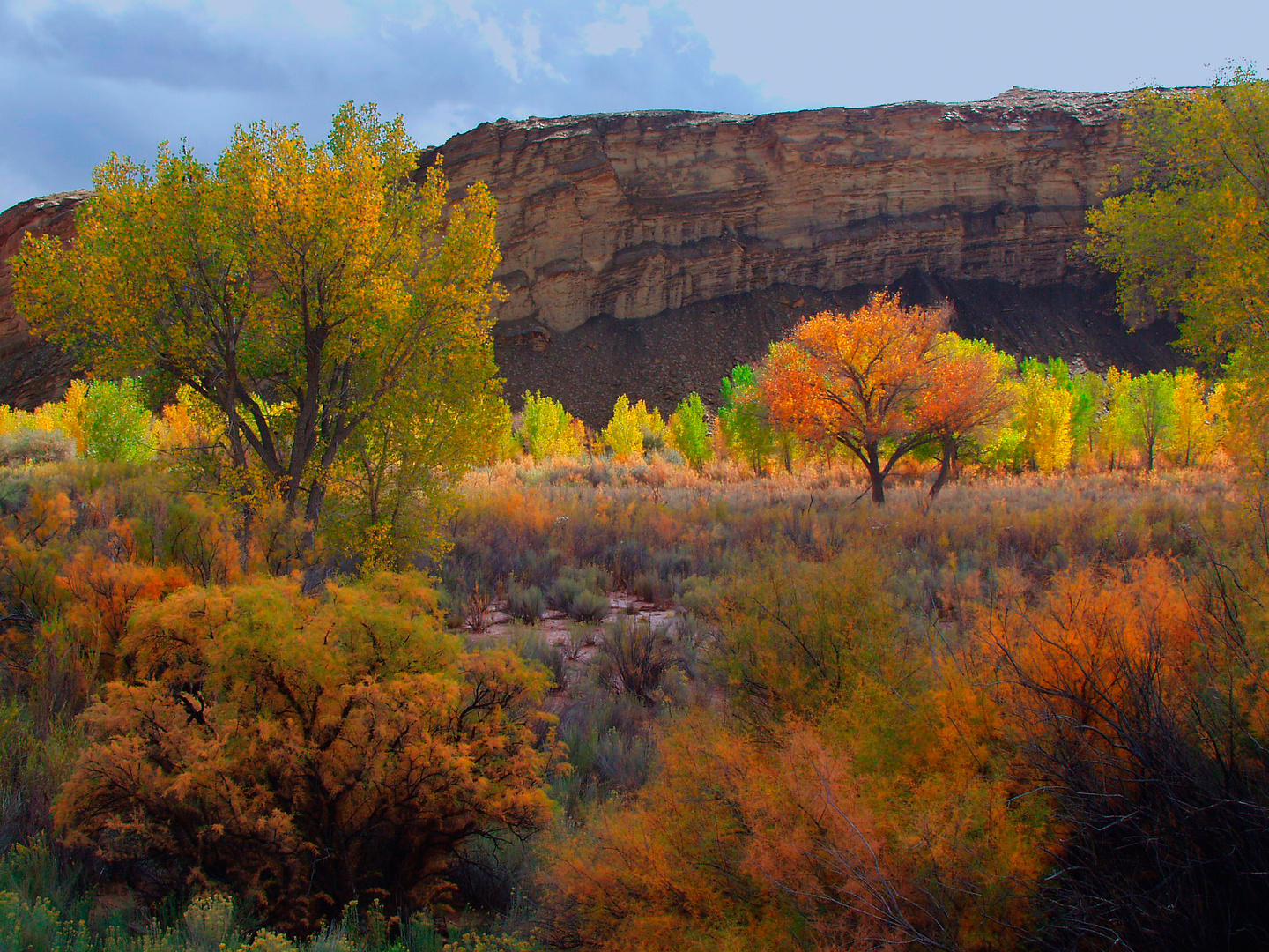 Fall colors