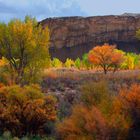 Fall colors