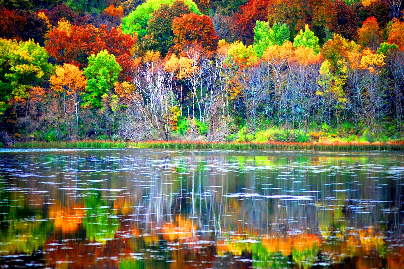 Fall Colors at Indian Lake