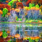 Fall Colors at Indian Lake