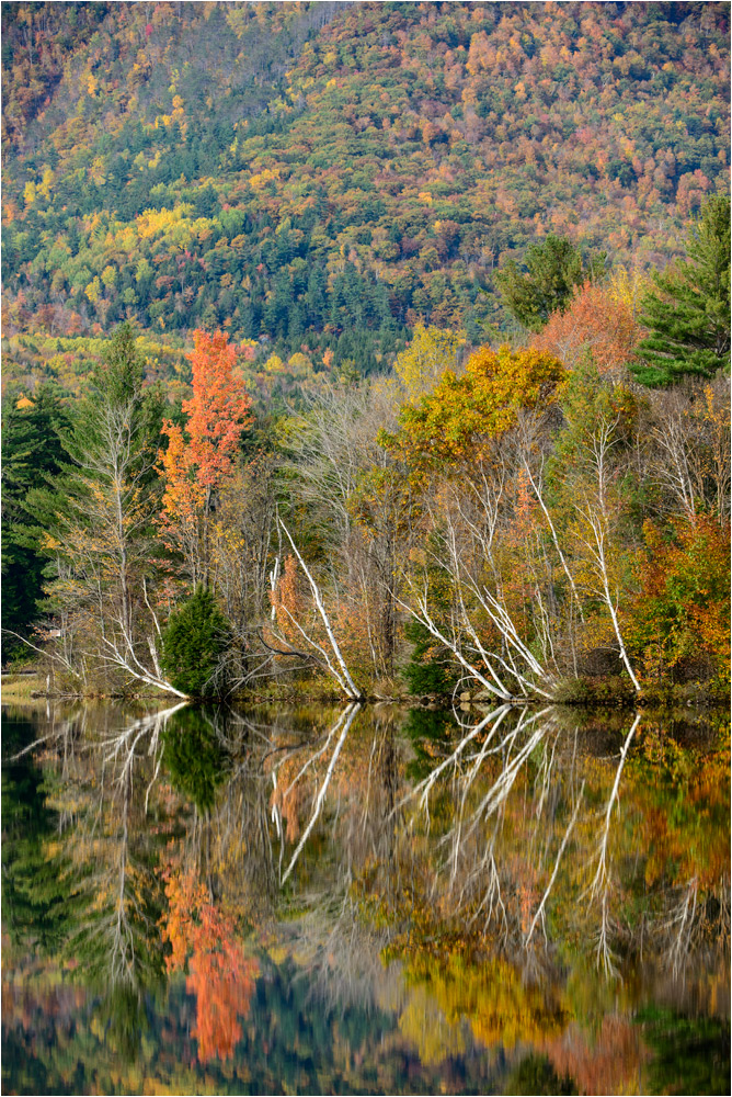Fall Colors in New Hampshire