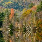 Fall Colors in New Hampshire