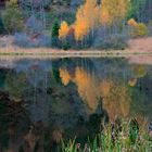 Fall colors in Sankenbachsee