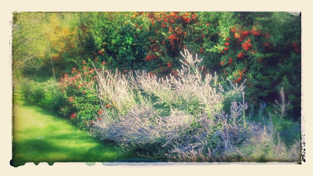 Fall colors in the garden