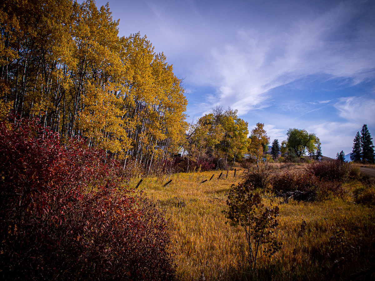 Fall colors in the Methow Valley