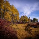 Fall colors in the Methow Valley