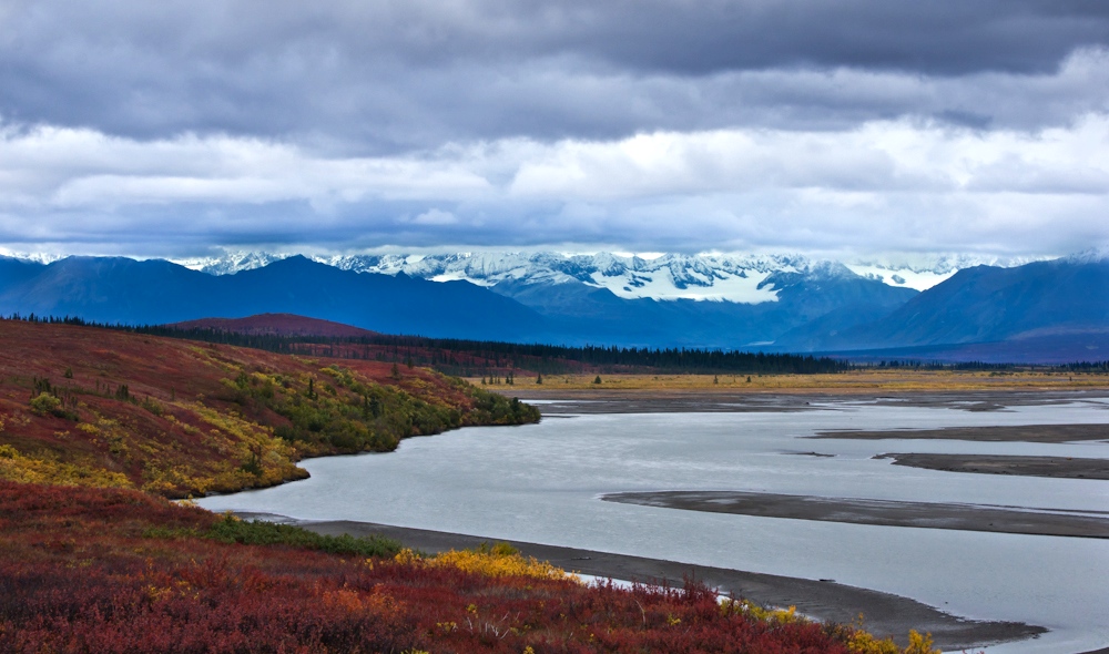 Fall Colors on Denali Highway (2)