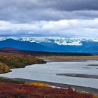 Fall Colors on Denali Highway (2)