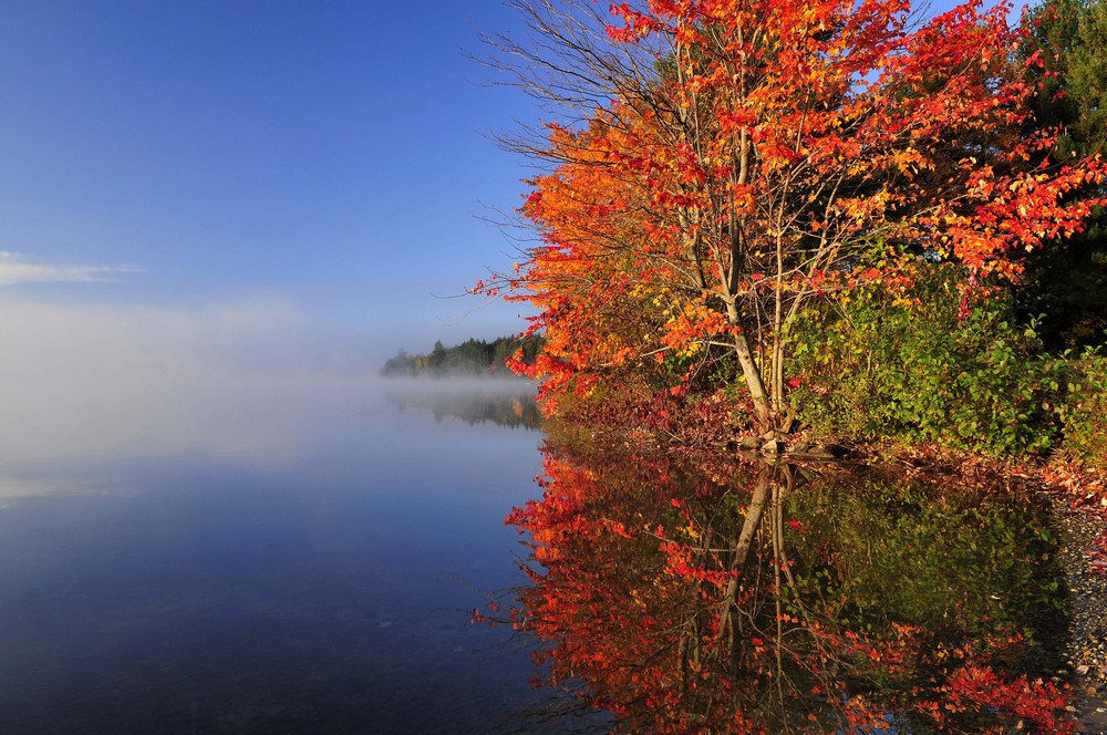 Fall Colours