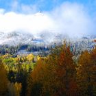 Fall Colours of Jasper