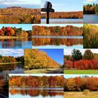 Fall Foliage im Mittleren Westen