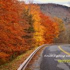 Fall for Autumn in New York