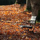 Fall in British Columbia