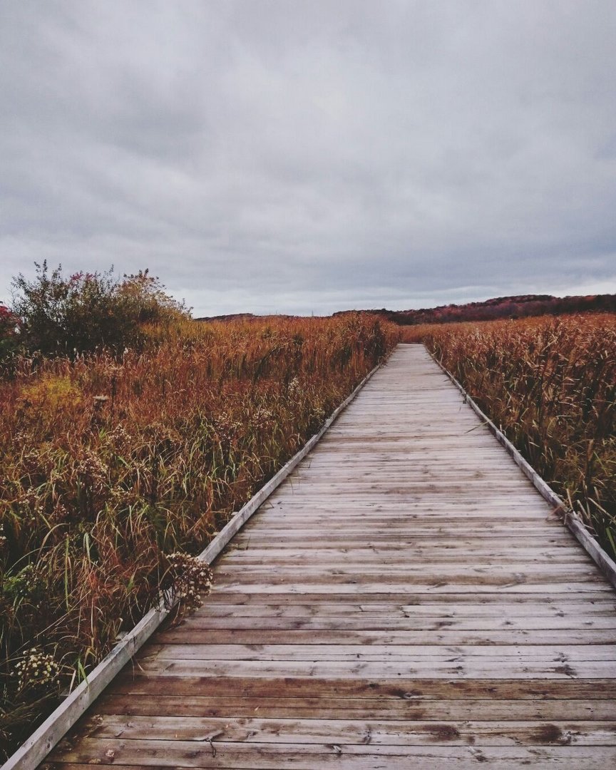 Fall in Canada