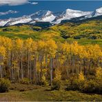 Fall In Colorado.....