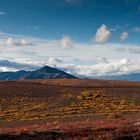 Fall in Denali