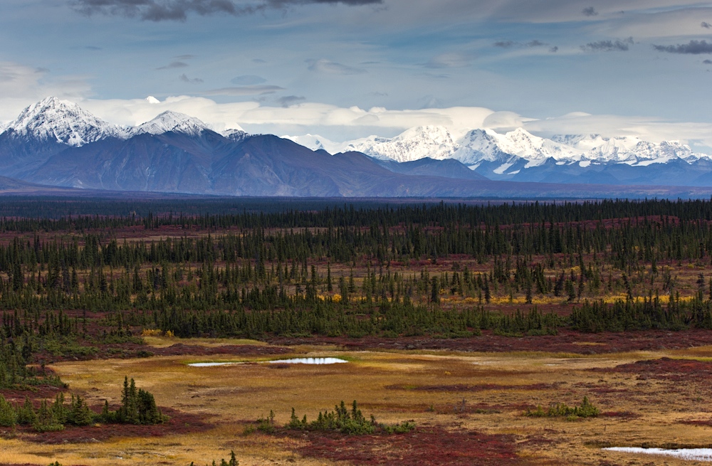 Fall in Denali (2)