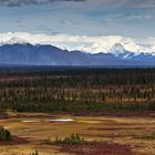 Fall in Denali (2)