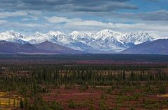 Fall in Denali (3)