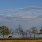 Fall in Estonia