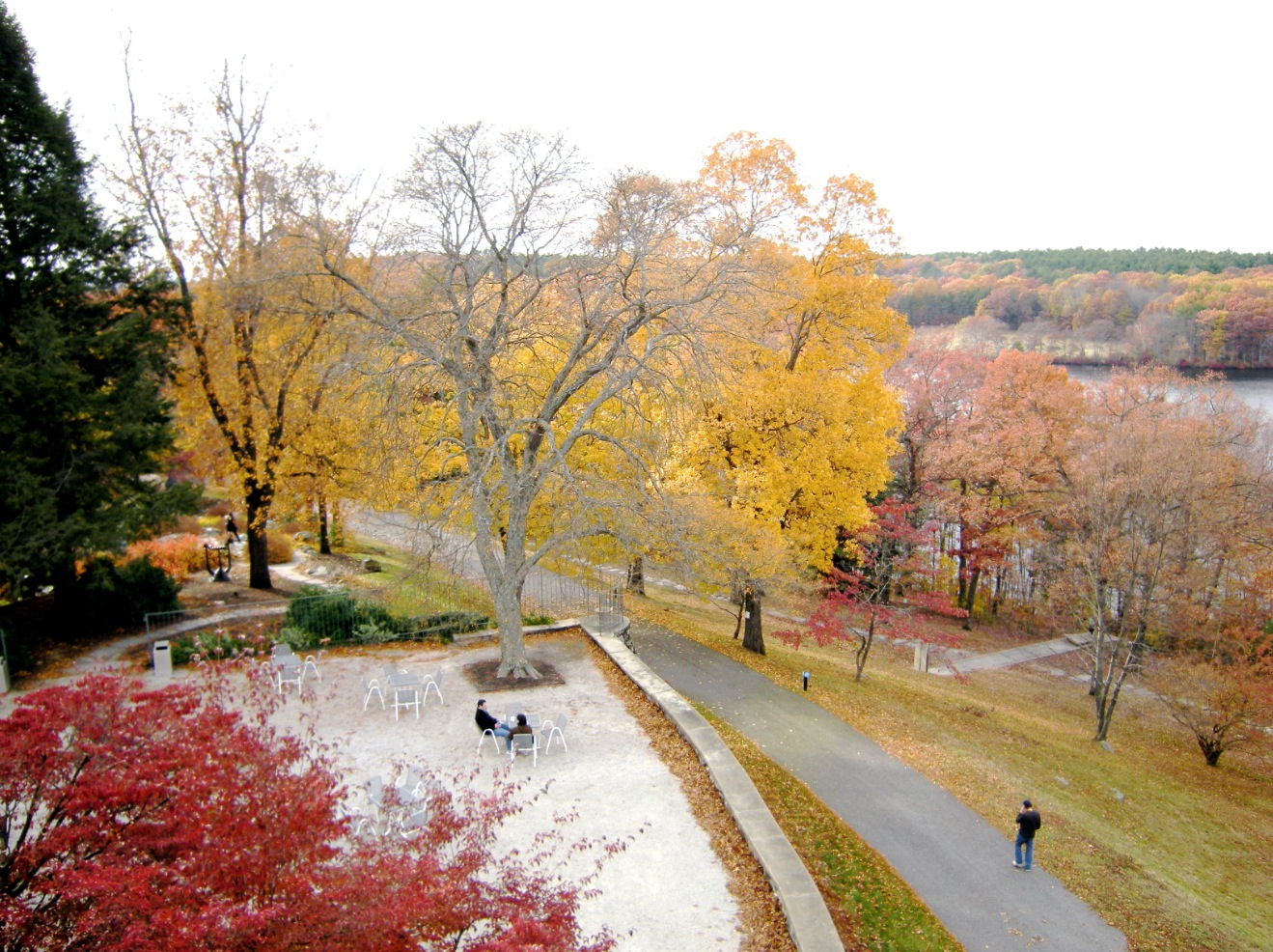 Fall in New England