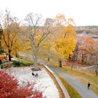 Fall in New England