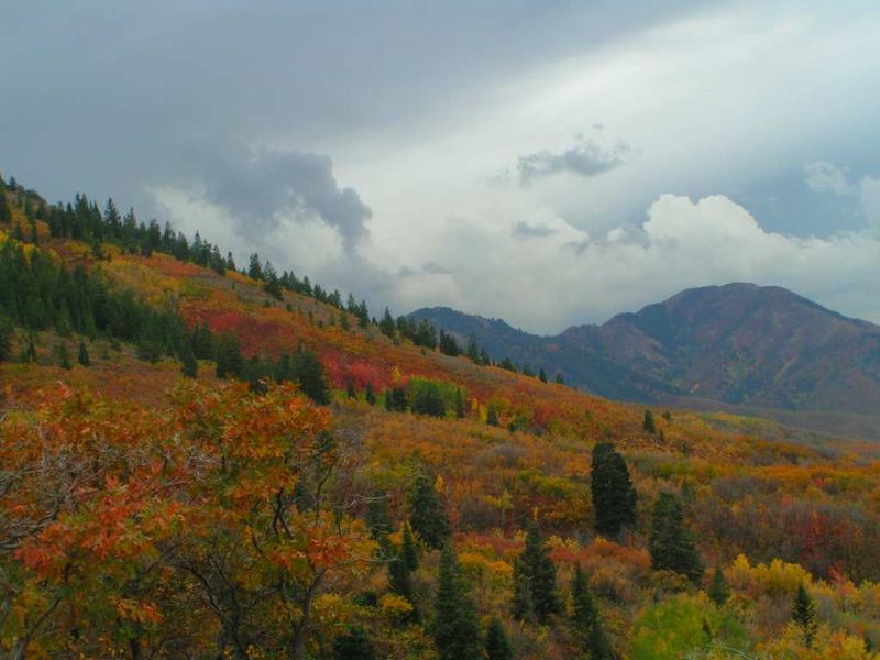 FAll in Parc City, Utah