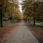 Fall in Parc de Genève