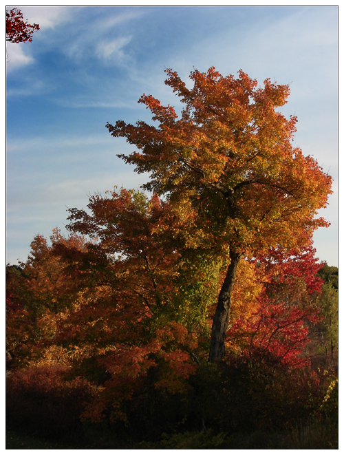 Fall in Paxton