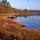 Fall in Sweden