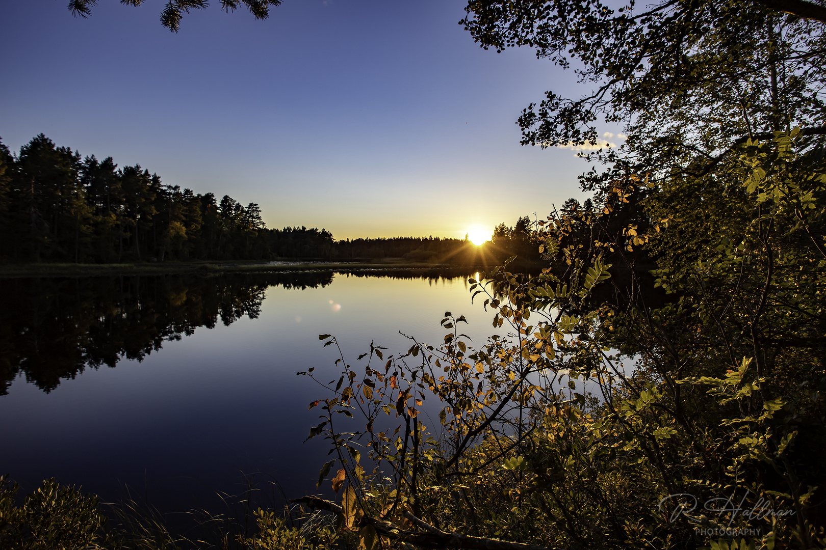 Fall in Sweden