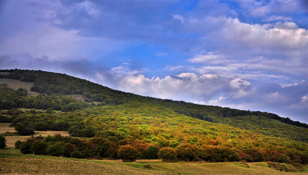 Fall in the Arasbaran forest