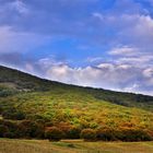 Fall in the Arasbaran forest