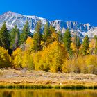 Fall in the Eastern Sierras of California