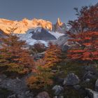 Fall in the Foothills of Patagonia