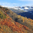 Fall in Verzasca