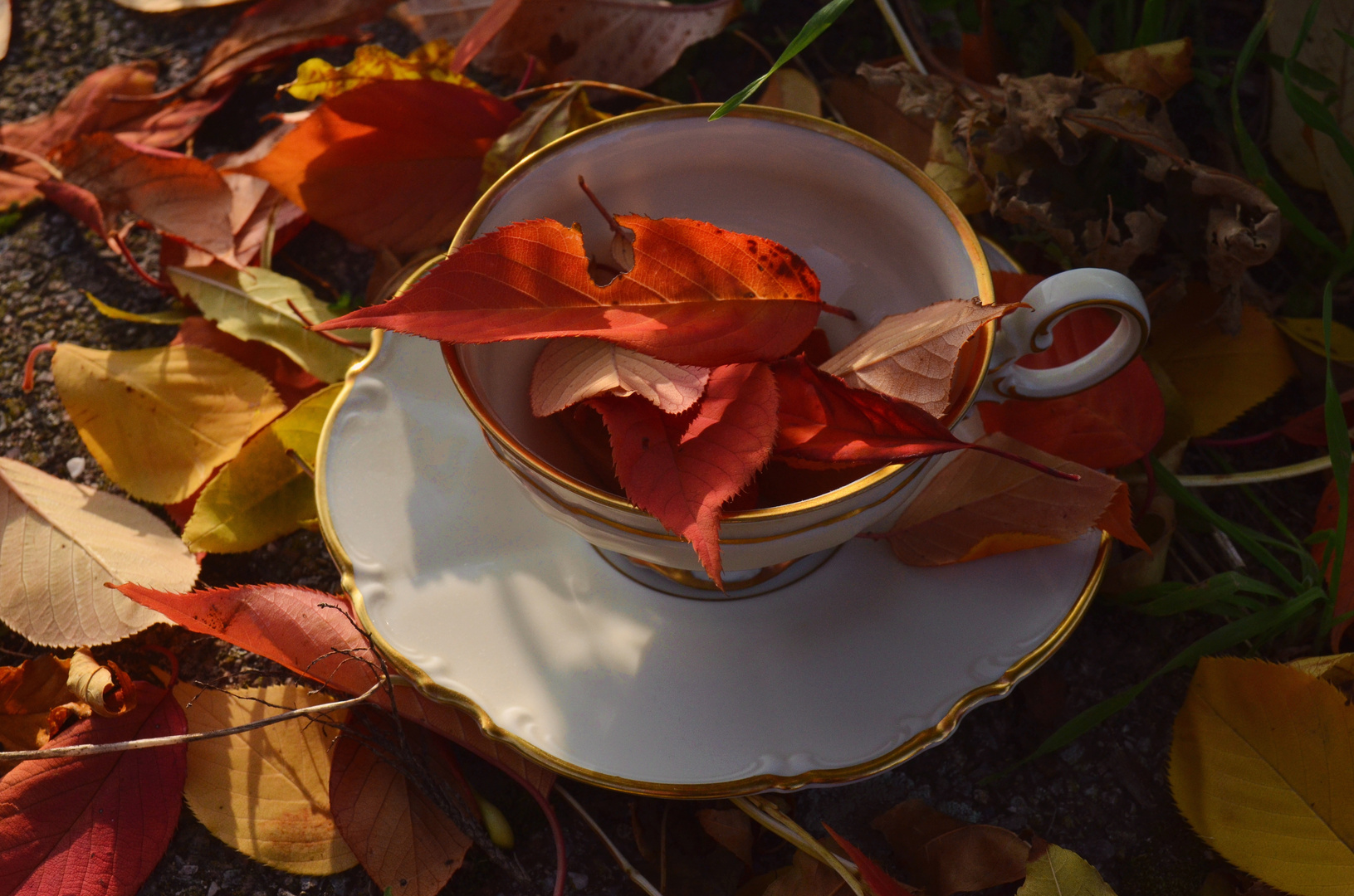 Fall into a teacup