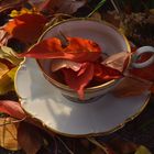 Fall into a teacup