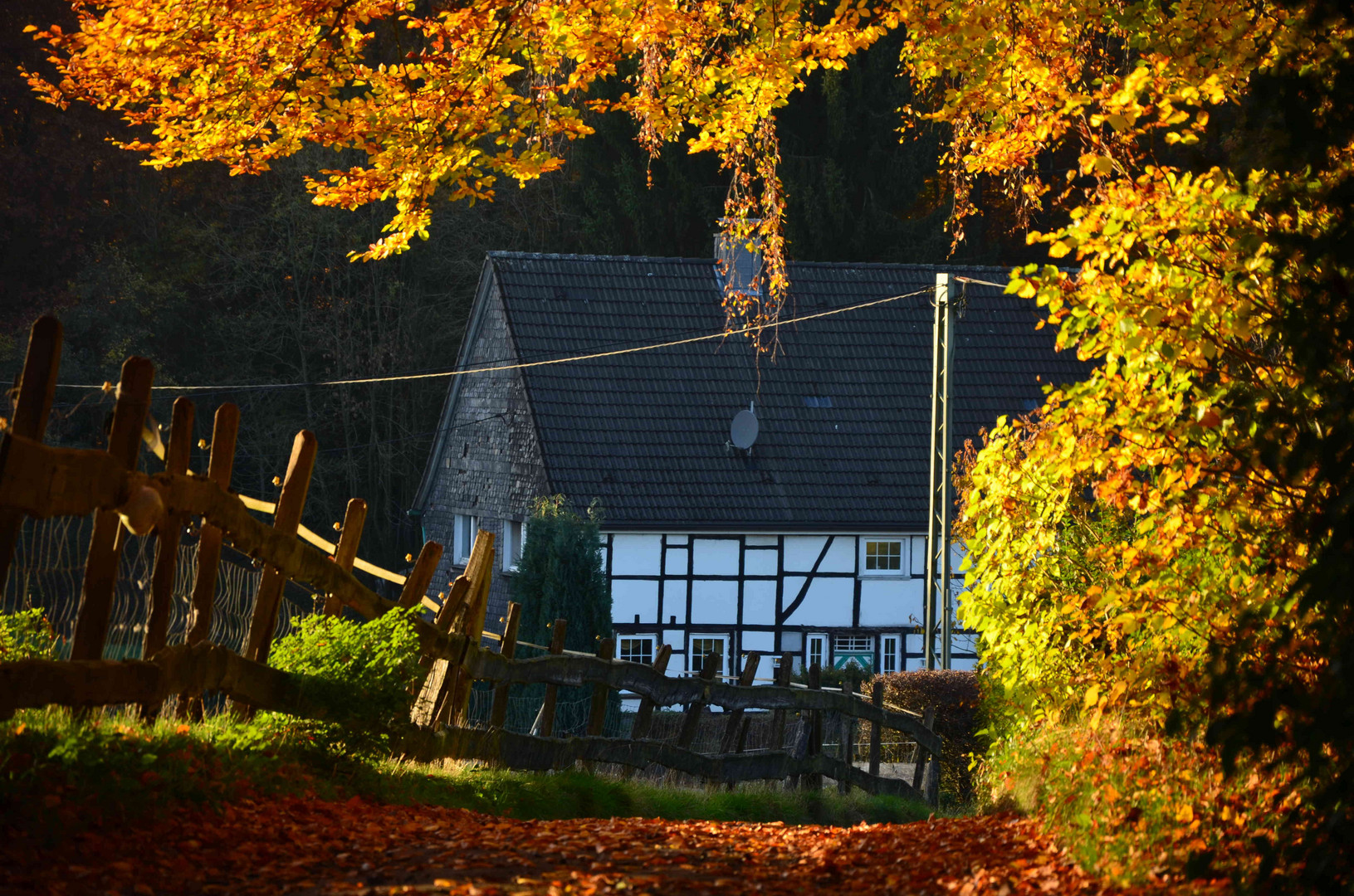 "Fall" into Love -- Autumn near Hattingen