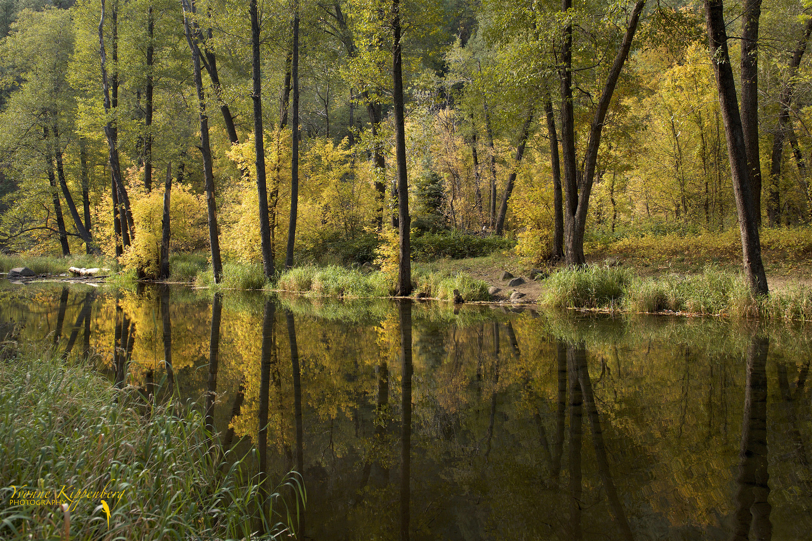 Fall is here !