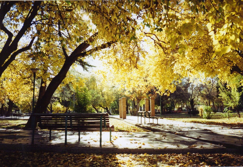 Fall Mendoza