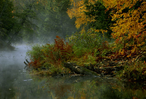 Fall Mist