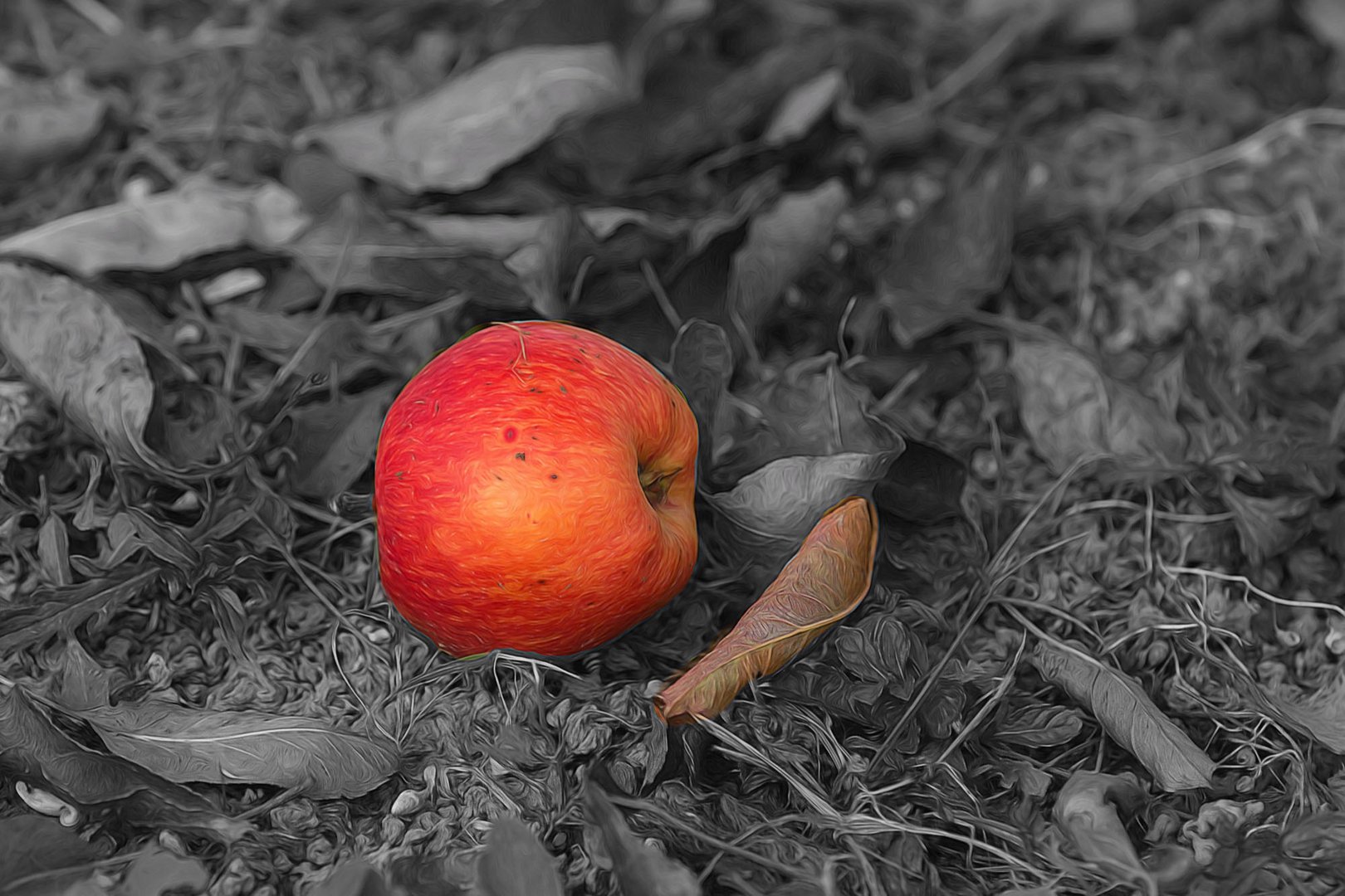 Fall - Obst