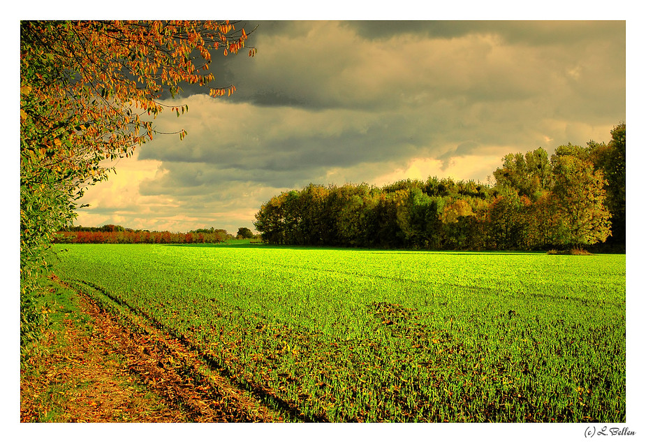 " Fall on his Flemish "