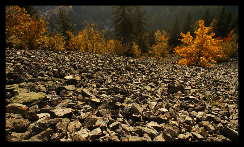 Fall on the Rocks