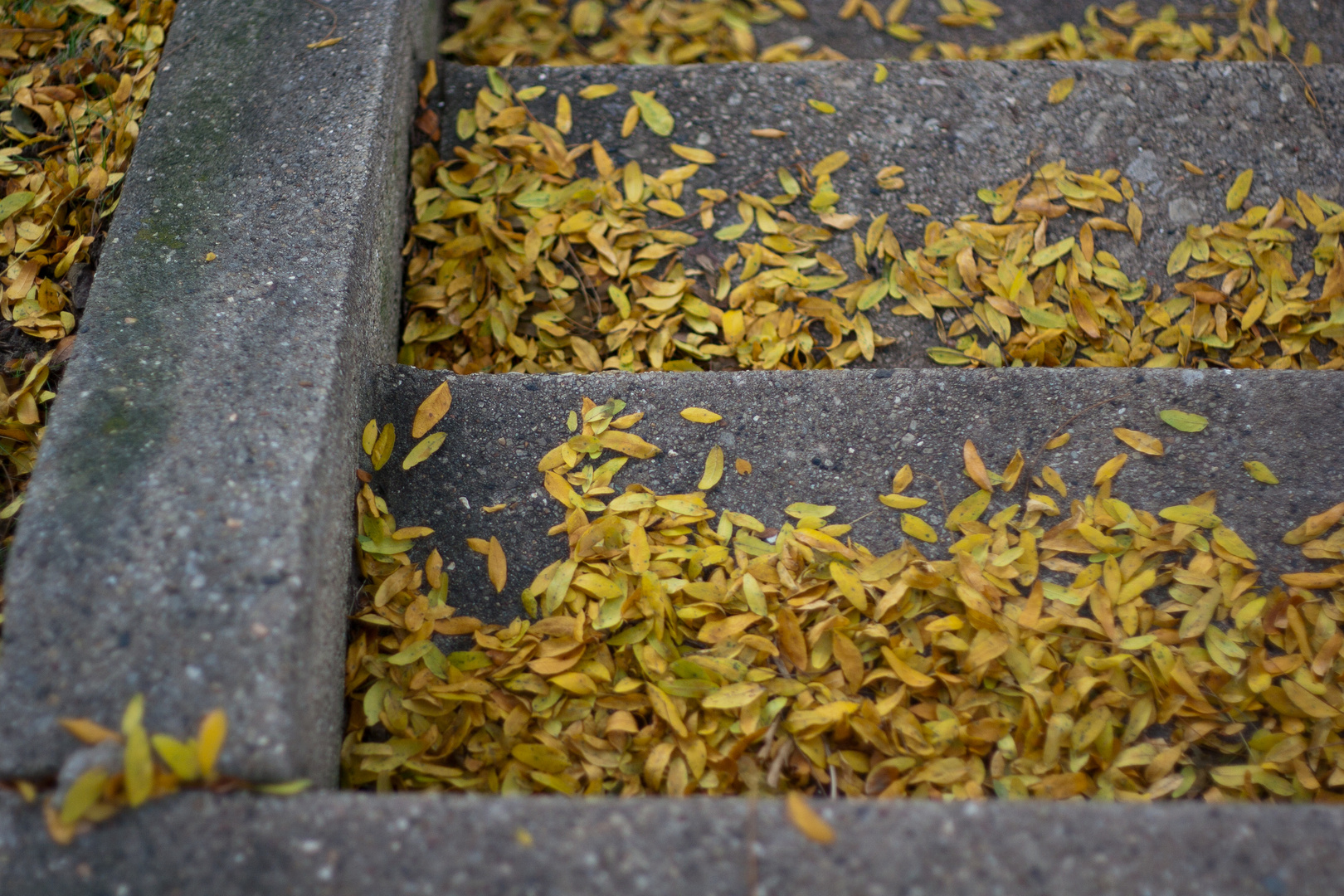 Fall on the Stairs